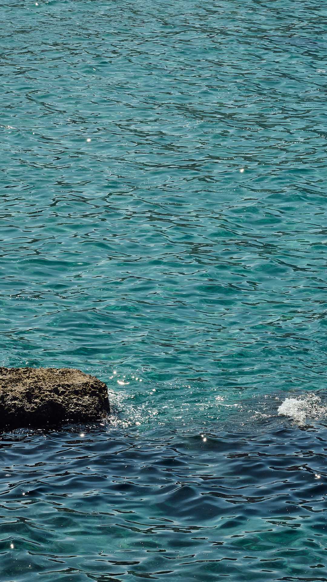 mer mediterranne - cercles des nageurs